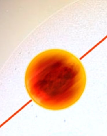 سیاره TOI-1431b با دمای ۲۷۰۰ درجه سانتیگراد!
