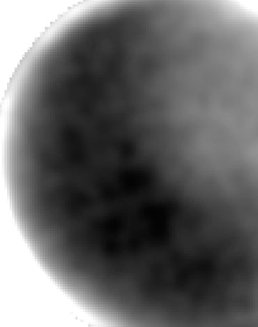 انتشار تصویری از نیمه‌ تاریک پلوتو