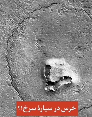 صورت خرس در مریخ